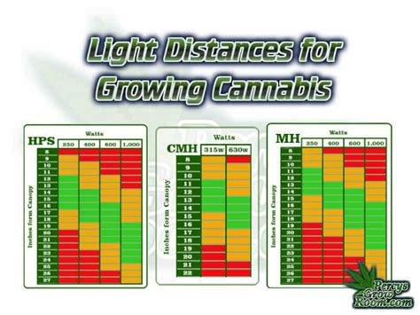 Plant Light Requirements Chart