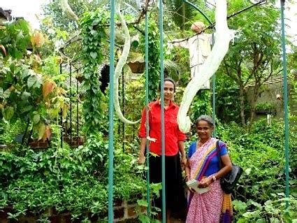 We are traders of ornamental fish based in sri lanka. InvestSriLanka: One Million Home Gardens to Contribute to ...
