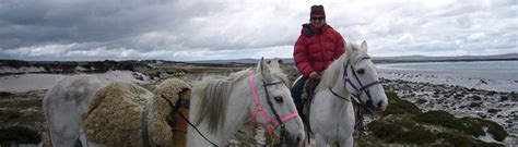 Visit The Falkland Islands Falklands