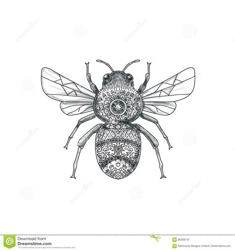 Download Bee Mandala Svg - SVG Layered