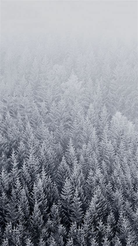 Winter Backgrounds For Iphone Hd Pixelstalknet
