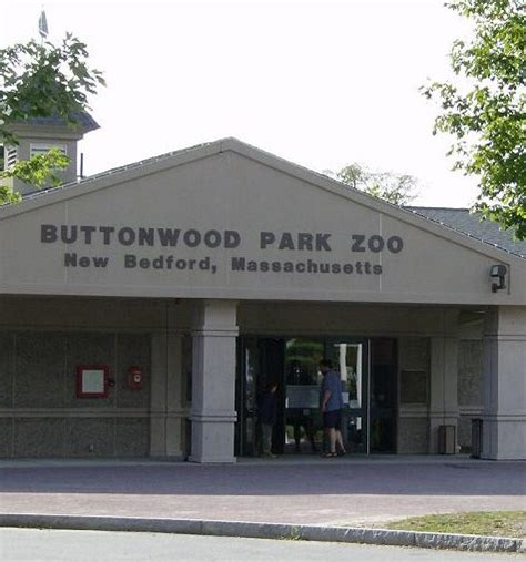 Buttonwood Park Zoo This Morning