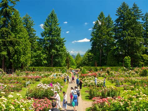 20 Free Things To Do In Portland Oregon Lonely Planet