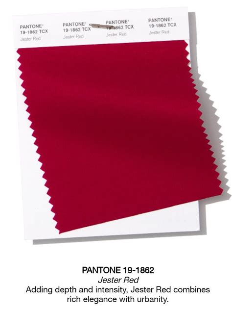 Pantone 19 1862 Jester Red Pantone Colour Palettes Pantone Pantone