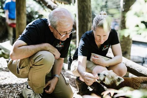 Behind The Scenes The Greenville Zoo Works To Save Animals Worldwide