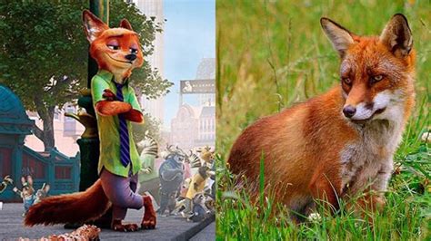 Zootopia Characters In Real Life Youtube