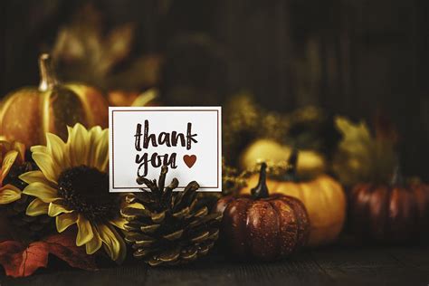 Thanksgiving Gratitude Green Groundswell
