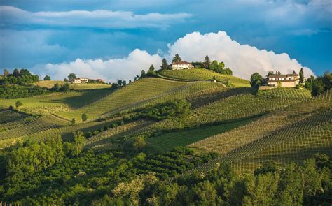 A Guide To Our Favorite Piedmont Producers Verve Wine