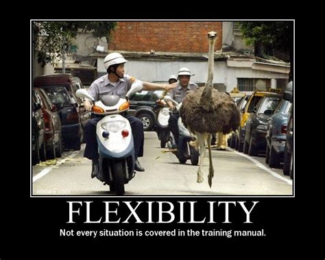 funny quotes about being flexible mcgill ville