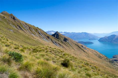 Breathtaking View Over Lake Wanaka Roys Peak In New Zealand Stock