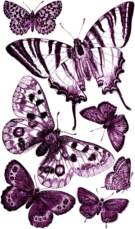 6 Best Images Of Printable Butterfly Clip Art Free Printable