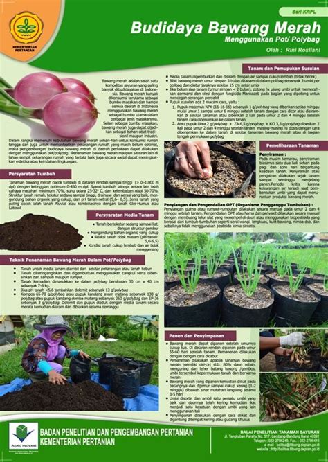 Sebagai contoh sampah yang contoh poster cinta tanah air membeli produk dalam negeri. Contoh Poster Pertanian - Soft Educaiton