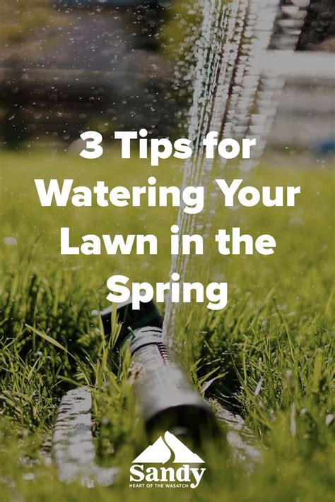 3 Tips For Watering Your Lawn In The Spring Watering Lawn Tips