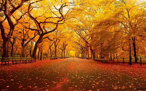 Autumn Wallpaper Hd Let You Feel The Magic Of Fall