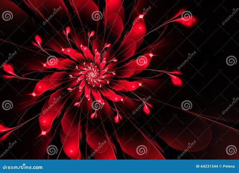 Abstract Fractal Flowerred On A Black Background Stock Illustration