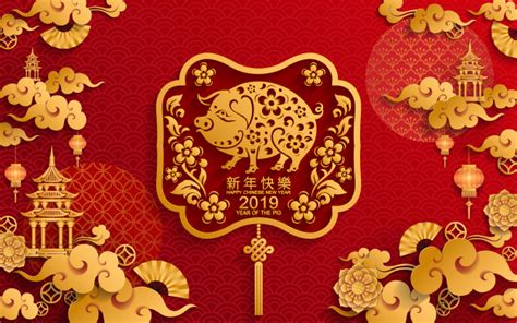 Tue 5 feb 2019 05.07 gmt last modified on wed 13 feb 2019 16.49 gmt. Happy chinese new year 2019. Vector | Premium Download