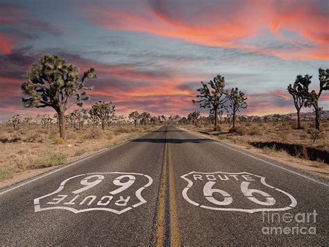 Route 66 With Joshua Trees And Sunset Sky Photograph By Trekkerimages