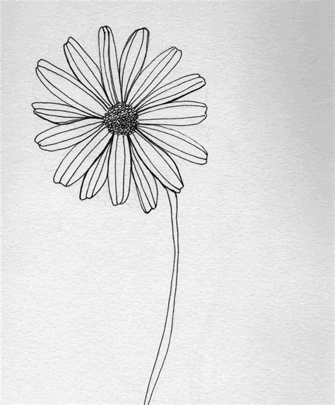 Flower Ink Drawing Pen Ink Flower Drawings Flowers Drawing Simple