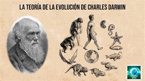 La Teoria De La Evolucion De Charles Darwin Youtube