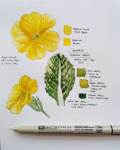 Pin by Sonamm Shah on Color Mixing Chart | Color mixing chart, Color mixing, Yelow