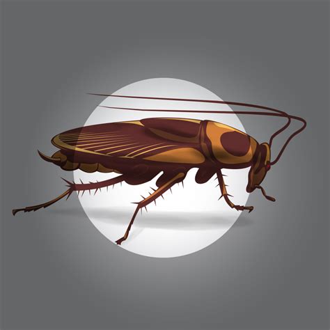 Why pest free extermination|pasadena extermiators july 23rd, 2019all track exterminators home. Pest Control Services | Extermination | Mice | Insects ...