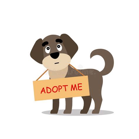 Standing Dog With A Poster Adopt Me Dont Buy Help The Homeless