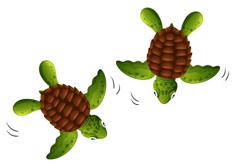 Two Baby Turtles White Background 297166 Vector Art At Vecteezy