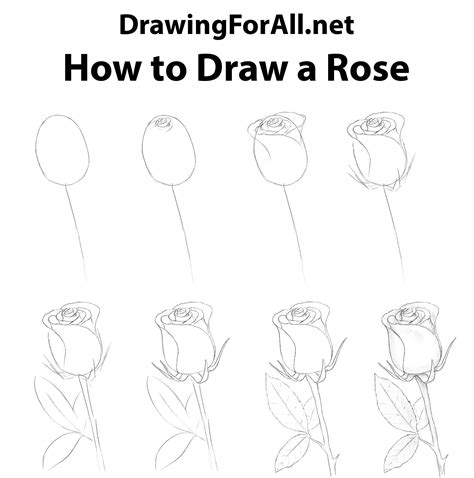 Como Dibujar Una Rosa De Forma Facil Y Sencilla Dibujos De Colorear