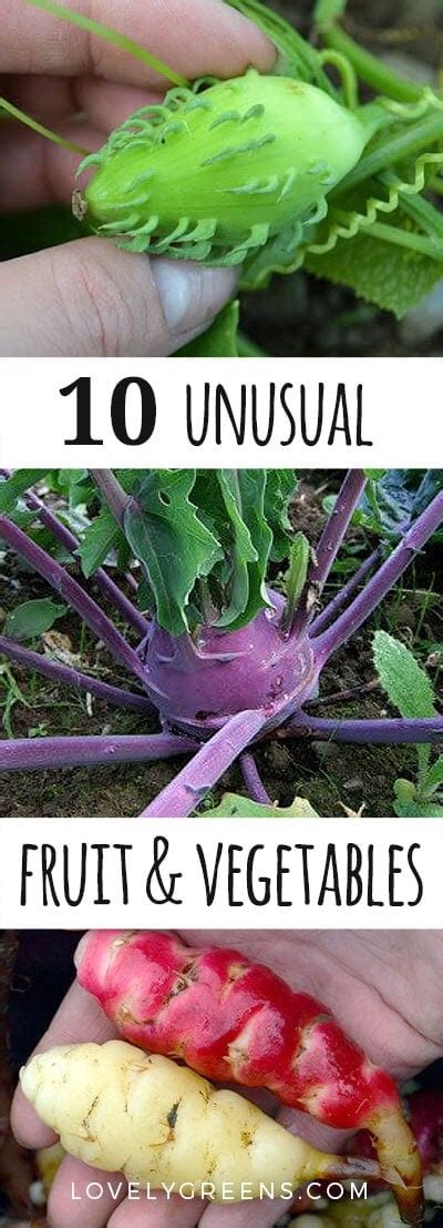 Top 10 Unusual Vegetables To Grow In Your Garden