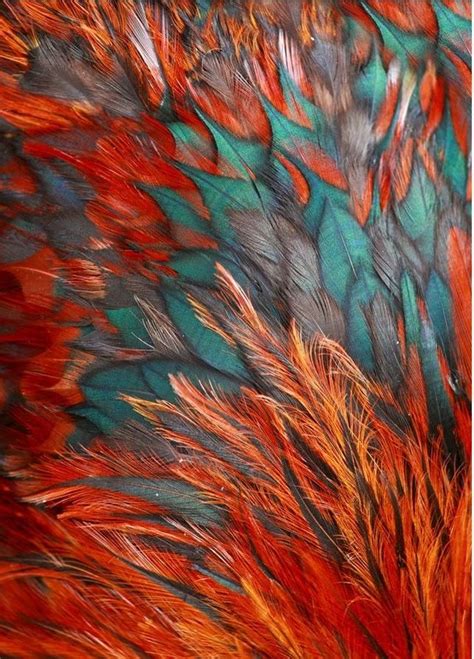 Teal Orange Features Nature Inspiration For The Trend Shoot