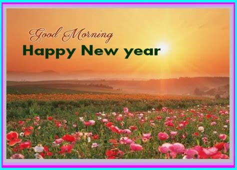 First Good Morning Of New Year Pictures Images