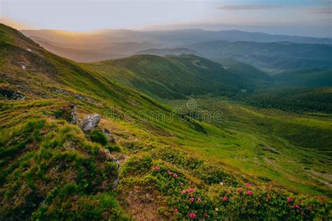 Colorful Summer Landscape In The Carpathian Mountains Stock Image