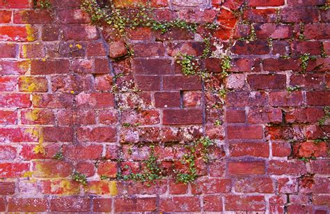 Grey Stone Wall Red Brick Wall White Brick Walls Free Pictures Free