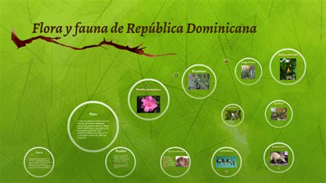 top 167 flora y fauna de republica dominicana anmb mx