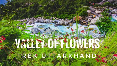Valley Of Flowers Trek And Hemkund Sahib Tickets By Adventure Club Pune