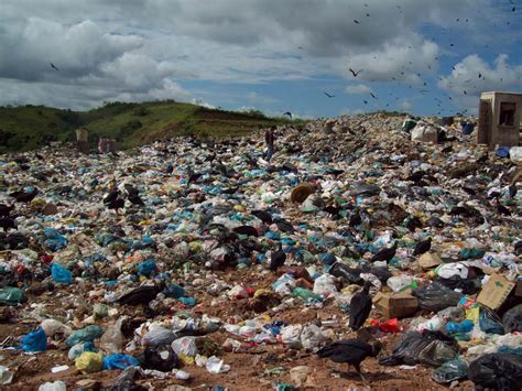 Plano De Gestão De Resíduos Sólidos De São Paulo Prioriza Reciclagem