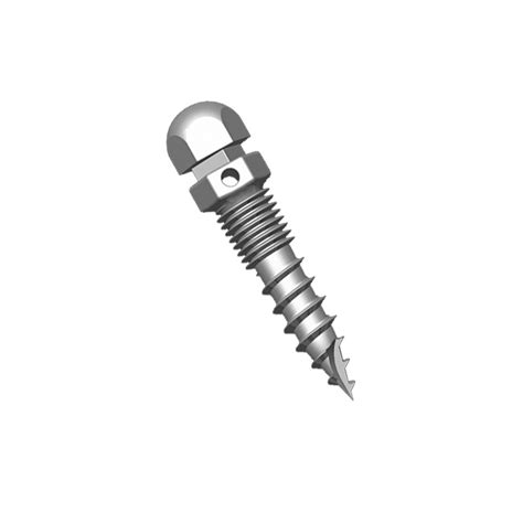 Orthodontic Mini Screw Made Of Titanium Eksorthodontic
