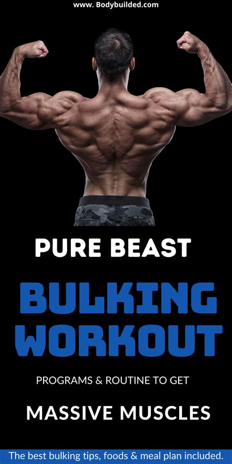 Pin On Bulking Workouts For Muscle Mass Building