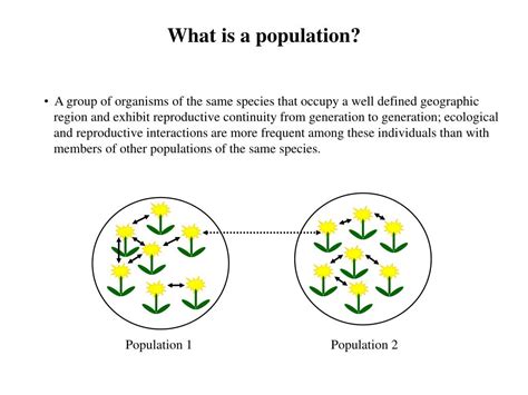 Ppt Properties Of Populations Powerpoint Presentation Free Download
