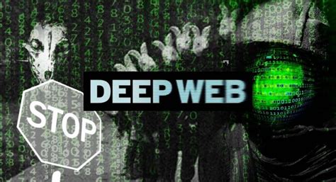 Cómo Acceder A La Deep Web Guía Paso A Paso Para Ingresar A La Web