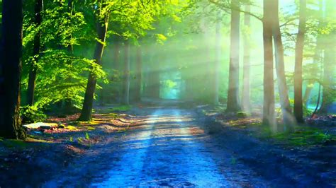 Green snow flurry 4k motion background hand gesture triple tap studio green screen Beautiful Nature Green Screen Free Backgrounds Motion ...