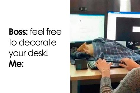 50 Tearfully Funny Memes And Posts About Work And Adult Life In General