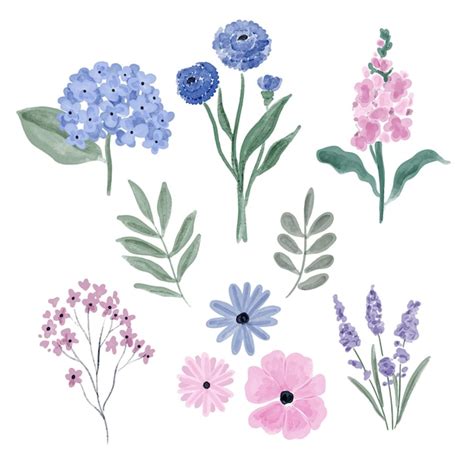 Free Vector Hand Painted Watercolor Flower Collection