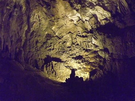 Ngarua Caves Motueka All You Need To Know Before You Go