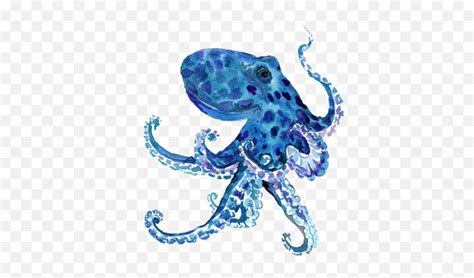 Octopus Animal Oceanlife Krake Sticker Common Octopus Emojikraken
