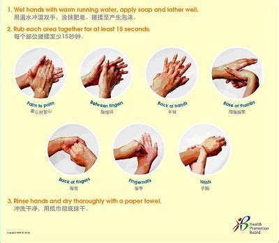 Step by step instructions for hand washing. 1 Kindness 2009@HWS: 7 steps of proper hand washing