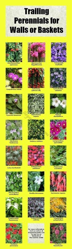 Pin By K Mustard On Charts Diagrams Lists Maps Etc Moss Plant Moss