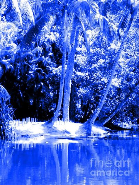 Blue View Palm Trees And Water By Oksana Semenchenko Palm Trees Water Beautiful Art