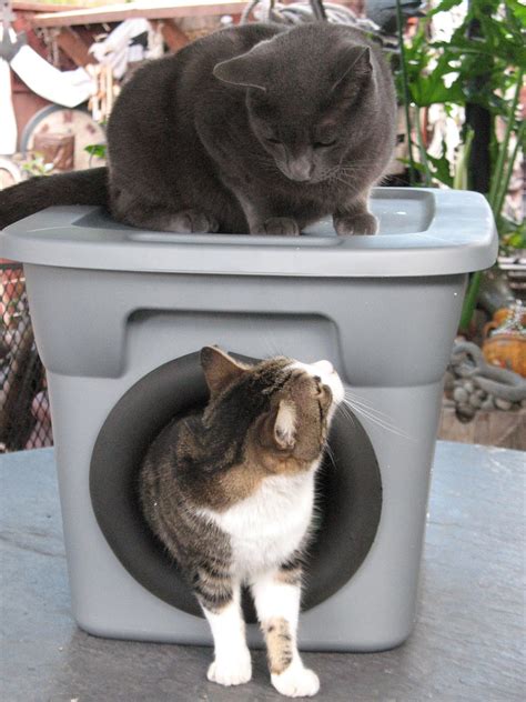 Our insulated outdoor cat houses will we sell large cat houses for large house cats. Artsy Fartsy: Outdoor Cat Bed For Winter