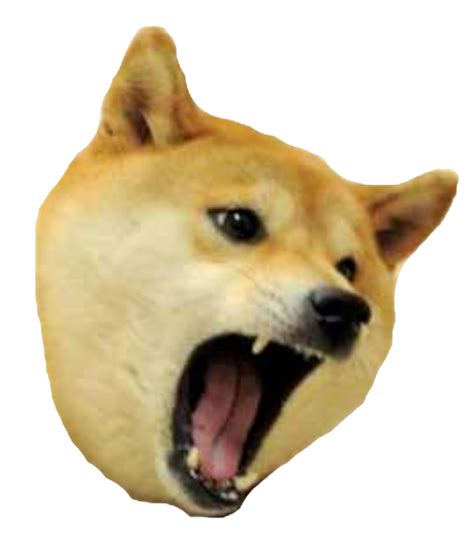 Doge Head Png Image Png All